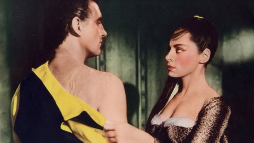 Das Schloß im Schatten Bild 6