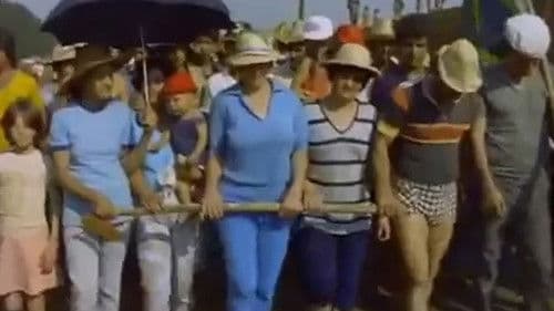 Terra Para Rose Bild 1