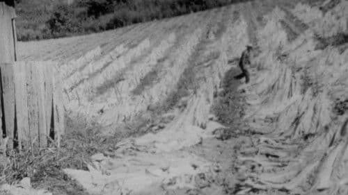 The End of an Old Song Bild 1