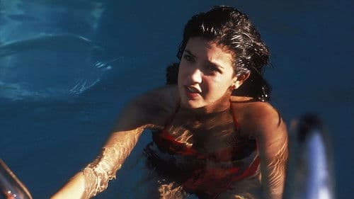 Ich glaub’, ich steh’ im Wald Bild 7