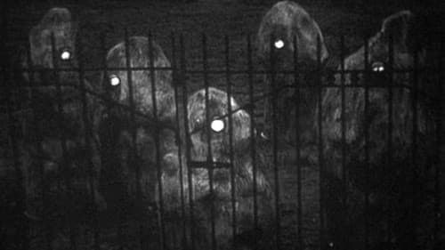 Escape Into Night Bild 1