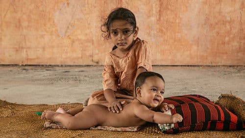 Vihanga Premaya Bild 1