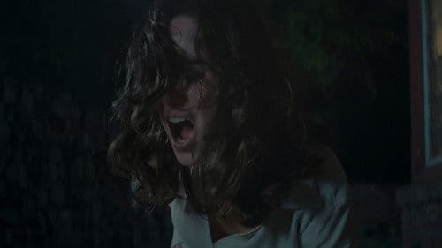 Push - Haus in tödlicher Lage Bild 3