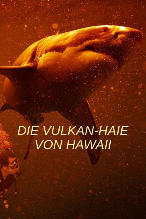 Die Vulkan-Haie von Hawaii