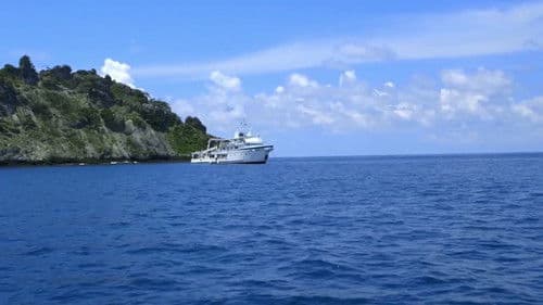 Shark Land: Welcome to Cocos Island Bild 2