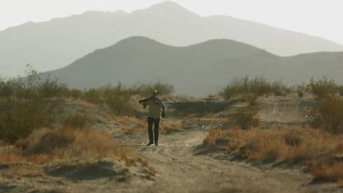 American Muscle Bild 3