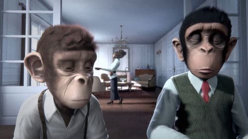 Monkey Symphony Bild 2