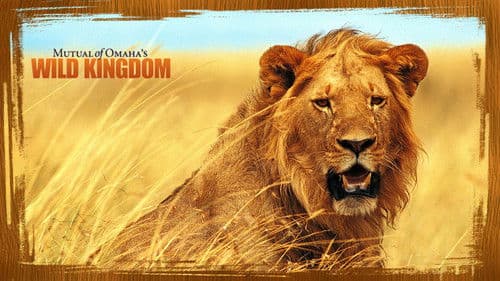 Im Reich der wilden Tiere Bild 6