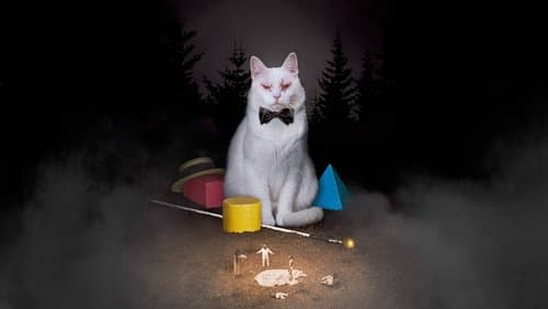 Koko-di Koko-da Bild 1