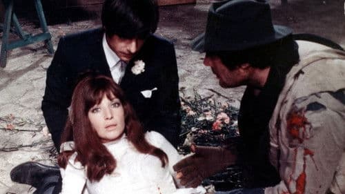 Eifersucht auf italienisch Bild 7