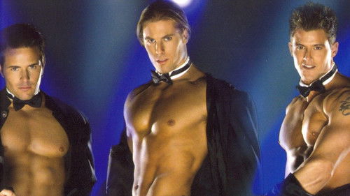 Chippendales: The Experience Bild 1