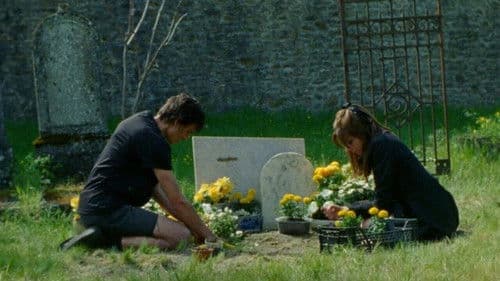 Anapidae (Appelle-moi) Bild 2