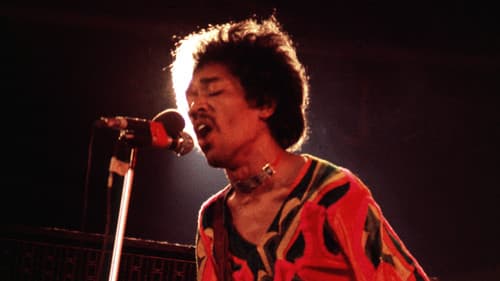 Jimi Hendrix: Hear My Train a Comin' Bild 5
