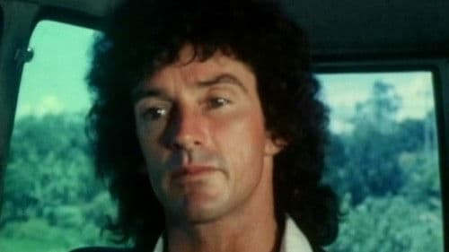 The Stabilizer Bild 1