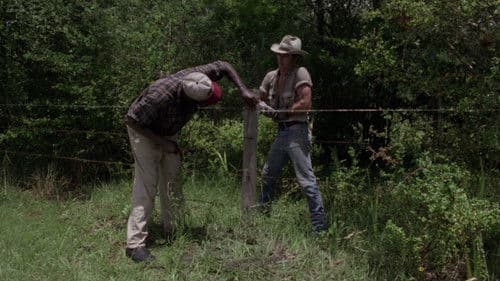 The Enchanted Bild 2