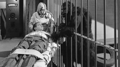 The Strange Case of Doctor Rx Bild 1