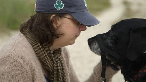 Adele and Everything After Bild 4