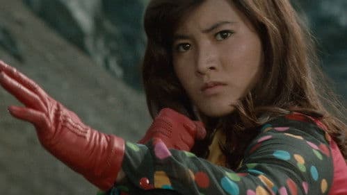 華麗なる追跡 Bild 7