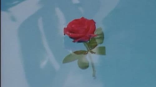 白昼の処刑 Bild 8