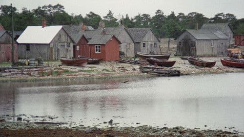 Fårödokument 1970 Bild 2