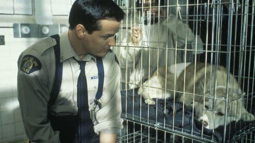 Ein Mountie in Chicago Bild 5