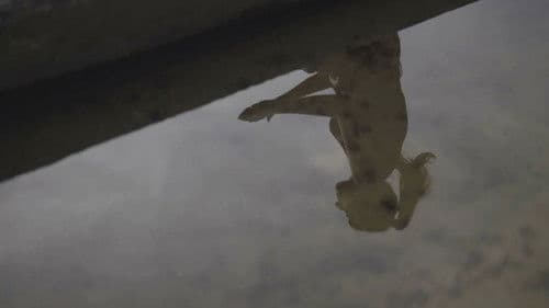 Étudiantes en terrain miné Bild 2