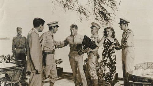 Bungalow der Frauen Bild 2