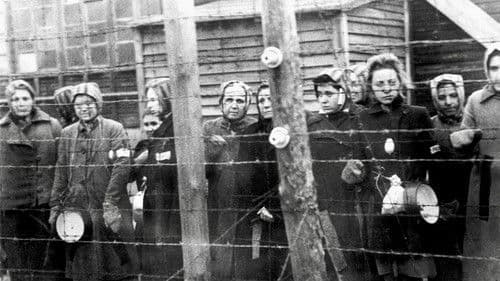 Ravensbrück, le camp oublié Bild 1