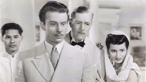 Singapore Woman Bild 1