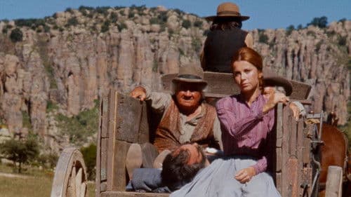 Shootout in a One-Dog Town Bild 4