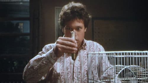 Der unsichtbare Junge Bild 1