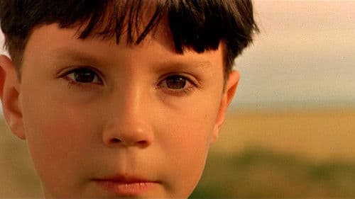 Schrei in der Stille Bild 7