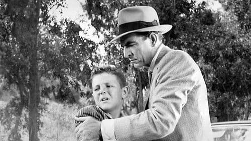 Im Dschungel der Großstadt Bild 3