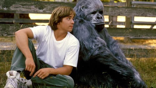 Gorilla auf der Flucht Bild 3