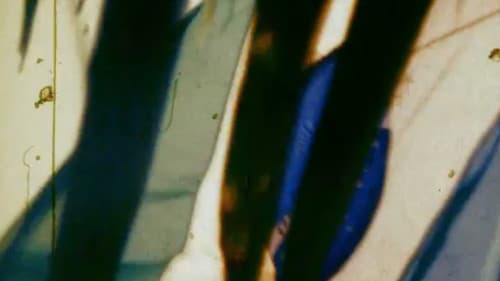 Nosferato no Brasil Bild 2