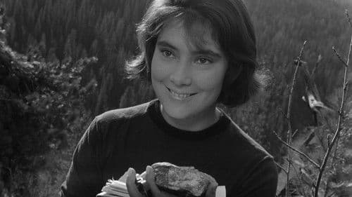 Ein Brief, der nie ankam Bild 7