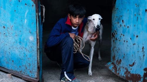 Ciudad sin sueño Bild 5