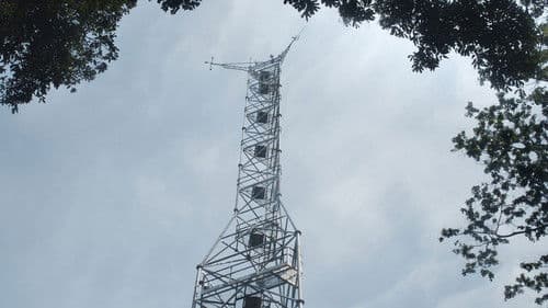 Der Baum der Authentizität Bild 1