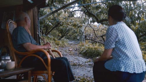 高山上的熱氣球 Bild 1