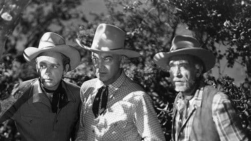 Strange Gamble Bild 1