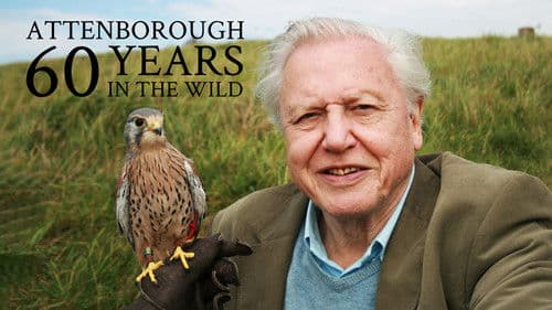Attenborough: 60 Years in the Wild Bild 6