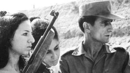 Tempo de Resistência Bild 1