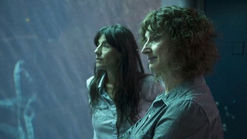 Vic + Flo ont vu un ours Bild 1