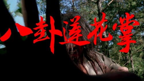 八卦莲花掌 Bild 1