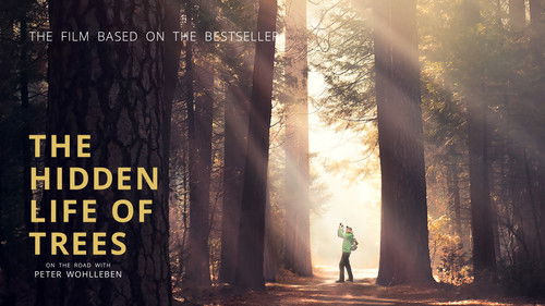 Das geheime Leben der Bäume Bild 2