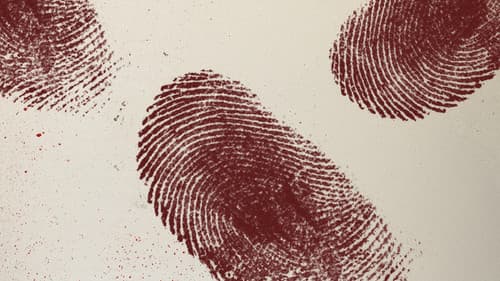 True Crime Belgium Bild 2