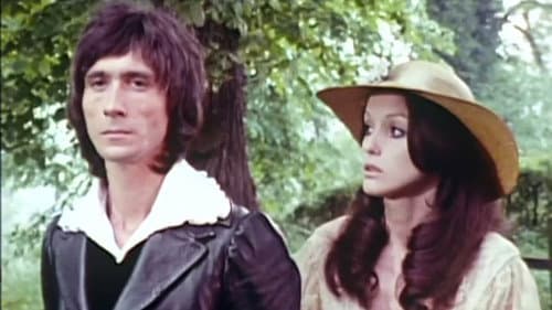 Frankenstein : Une histoire d'amour Bild 2
