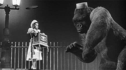 Panik um King Kong Bild 8