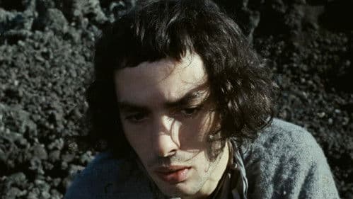 Der Schweinestall Bild 4