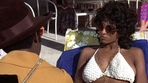 Coffy - Die Raubkatze Bild 8